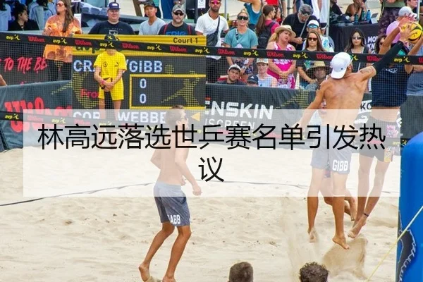 林高远落选世乒赛名单引发热议